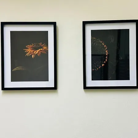 Il Rifugio Del Viaggiatore * Arezzo